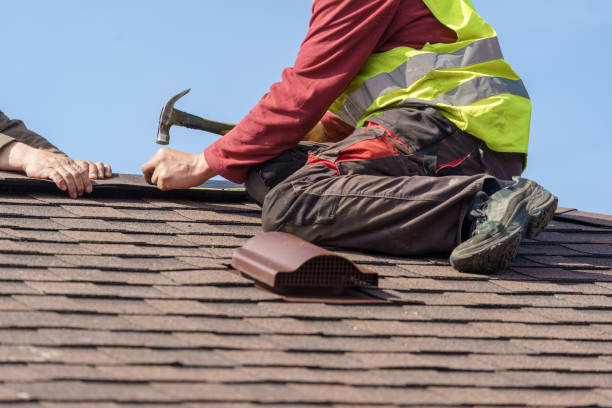 Best Roof Gutter Cleaning  in Bushnell, IL