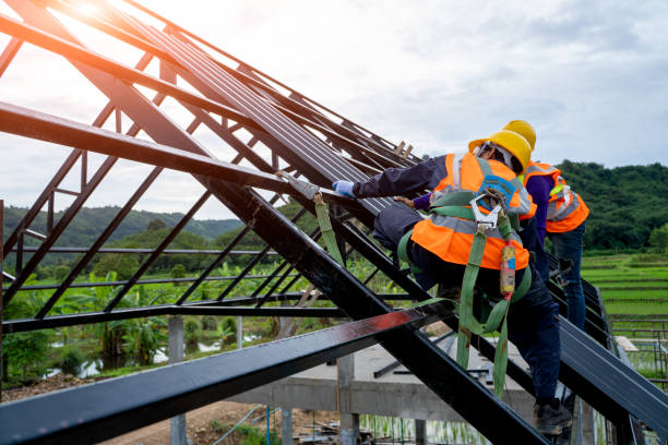 Best Shingle Roofing Installation  in Bushnell, IL