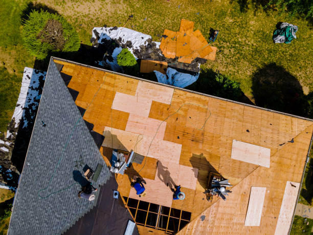 Best Residential Roofing Contractor  in Bushnell, IL