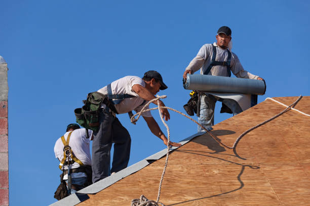 Best Residential Roofing Contractor  in Bushnell, IL