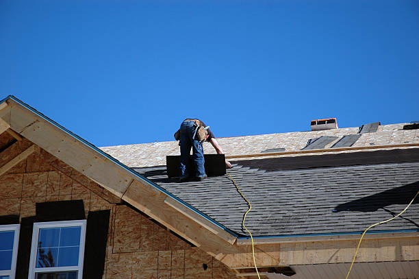 Roof Gutter Cleaning in Bushnell, IL