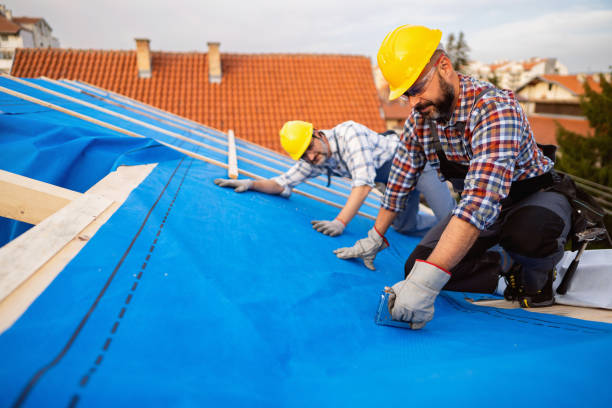 Best Roof Inspection Near Me  in Bushnell, IL