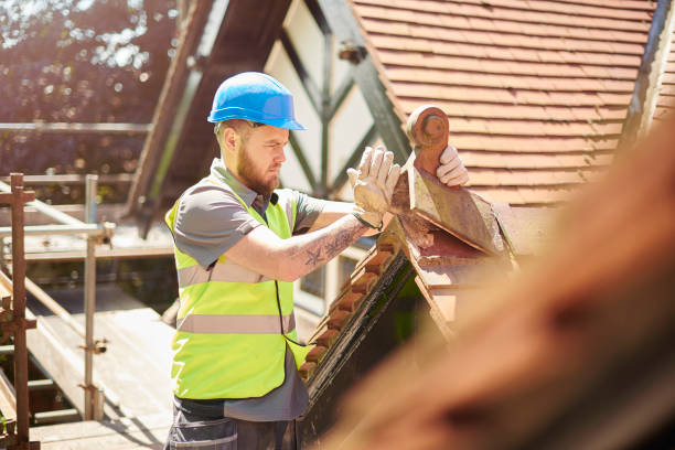 Best Best Roofing Contractors  in Bushnell, IL